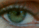 060608.Bill_Drummond_2_t.gif
