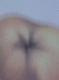 061025.Misc_t.gif