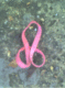 070308.Dan_Pox_t.gif