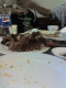 070721.Izaac_t.gif