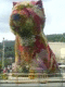 070826.Ant_.v0_t.gif