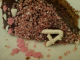 070911.Ant_Howells2_t.gif