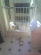 071019_1655.Dan_Pox_t.gif