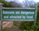 071104.Bill_drummond_t.gif