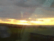 071116.Nicky_Branch_t.gif