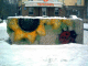 071117.Akimov_Alexey_Siberia_1_t.gif