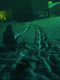 071117.Akimov_Alexey_Siberia_5_t.gif