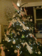 071210.Ant_Howells_t.gif