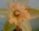 071214.Bill_Drummond_t.gif