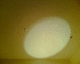 080106.Bill_DRummond_1_t.gif
