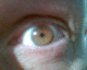 080106.Bill_Drummond_t.gif