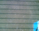 080122.Bill_Drummond_t.gif