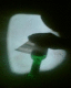 080125.Berlin_Plane_Bill.v0_t.gif