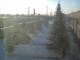 080205.Alexey_Bryuho_siberia4_t.gif