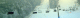 080205.Alexey_Bryuho_siberia7_t.gif