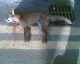 080209.Bill_Drummond_t.gif