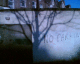 080210.Bill_Drummond5_t.gif