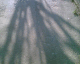 080212.Bill_Drummond2_t.gif