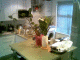 080302.Aaj2_t.gif