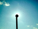 080311.Alexey_Bryuho_stolb_t.gif