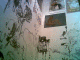 080312.Aaj_t.gif