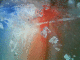 080324.Aaj_t.gif