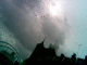 080329.Aaj3_t.gif