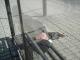 080331.Alexey_Bryuho_sleep_t.gif