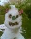 080406.Bill_Drummond.v0_t.gif