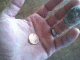 080507.Danny_Pockets2_t.gif