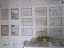 080523.Ellie1_t.gif