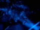080527.Jonathan1_t.gif