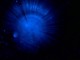 080527.Jonathan2_t.gif