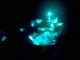080527.Jonathan6_t.gif