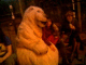 080601.Foundry_Bear_t.gif
