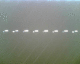 080619.Bill_Drummond3_t.gif