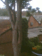 080706.Bill_Drummond.v0_t.gif