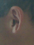 080726.Thomas_Yelland_t.gif