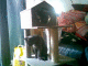080729.Jonathan_t.gif