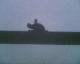 081001.Bill_Drummond_t.gif
