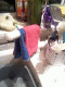 081002b.Danny_Pockets.v0_t.gif