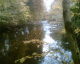 081013.Bill_Drummond08_t.gif