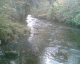 081013.Bill_Drummond09_t.gif