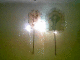 081105.Jn1_t.gif