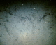 040723.london1_t.gif