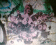 040723.london2_t.gif