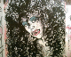 050722.grafmoira1_t.gif