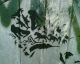 050731.graf7_t.gif