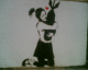 050808.graf2_t.gif