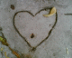 050812.arofish11_t.gif